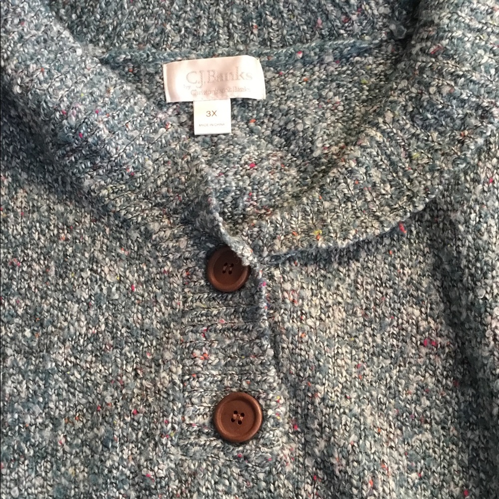 CJ Banks sweater 3X